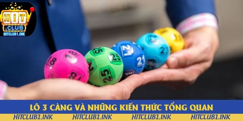 Lô 3 càng cùng những kiến thức cơ bản cho người chơi Lô 3 càng cùng những kiến thức cơ bản cho người chơi